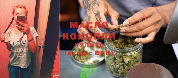 сатива Верея