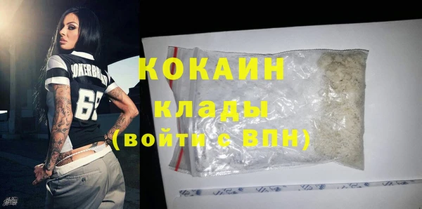 гидра Верхний Тагил