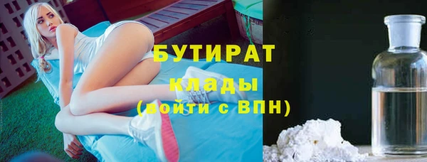 сатива Верея