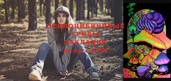 крисы Верхнеуральск