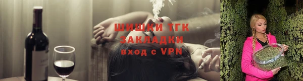 гидра Верхний Тагил