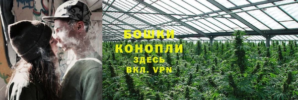 сатива Верея
