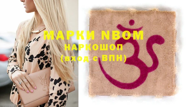 сатива Верея