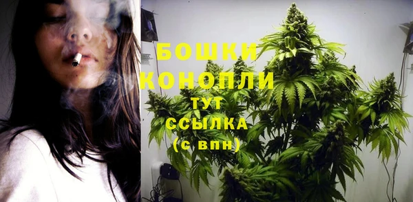 гидра Верхний Тагил