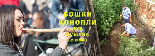сатива Верея