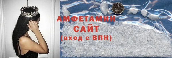 гидра Верхний Тагил