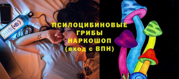 гидра Верхний Тагил