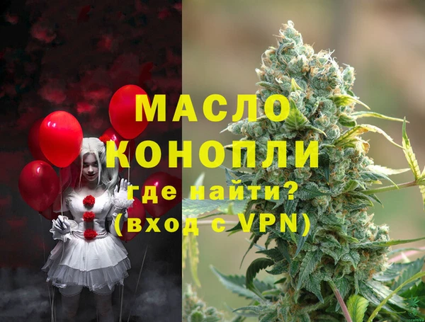 сатива Верея