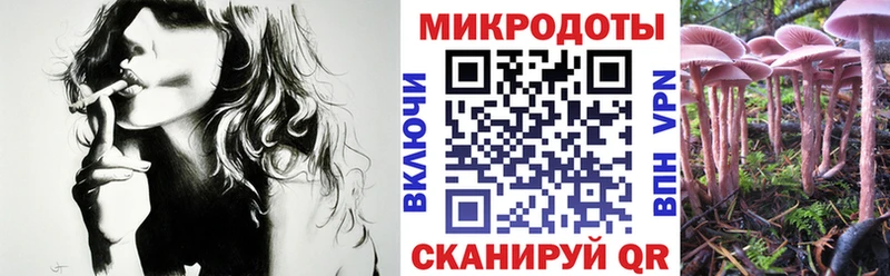 Псилоцибиновые грибы прущие грибы  что такое наркотик  Гагарин 